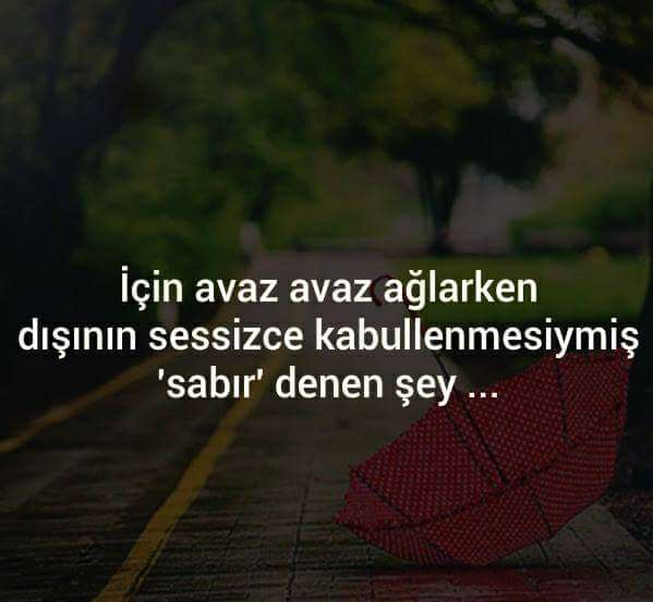 Burcu