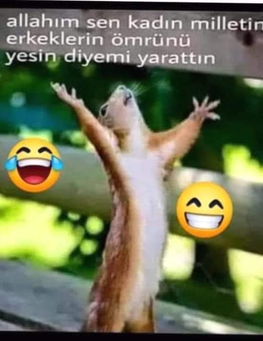 Serdar