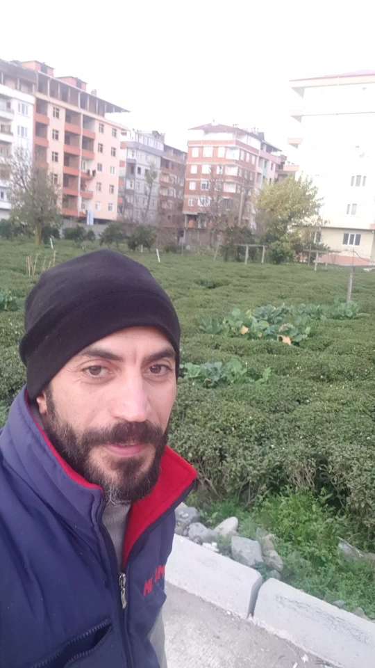 Serdar
