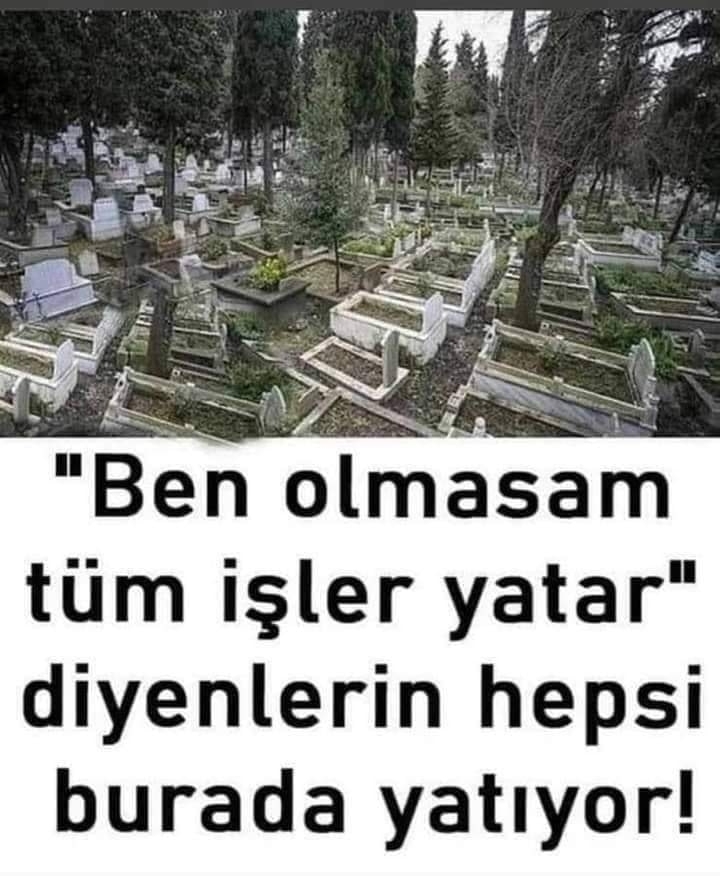 Doğann