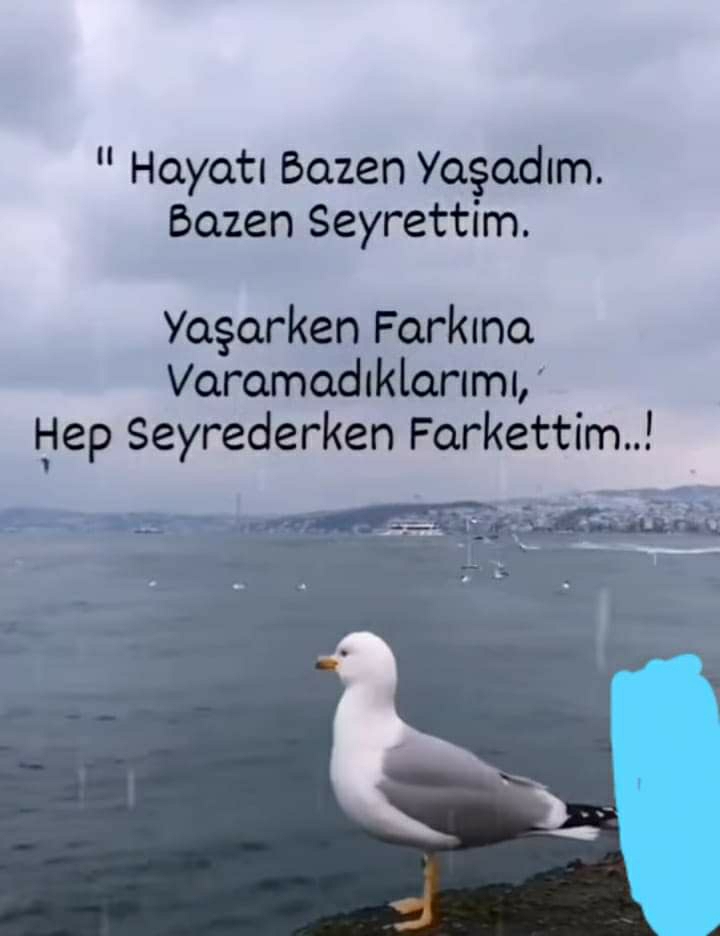 Damla