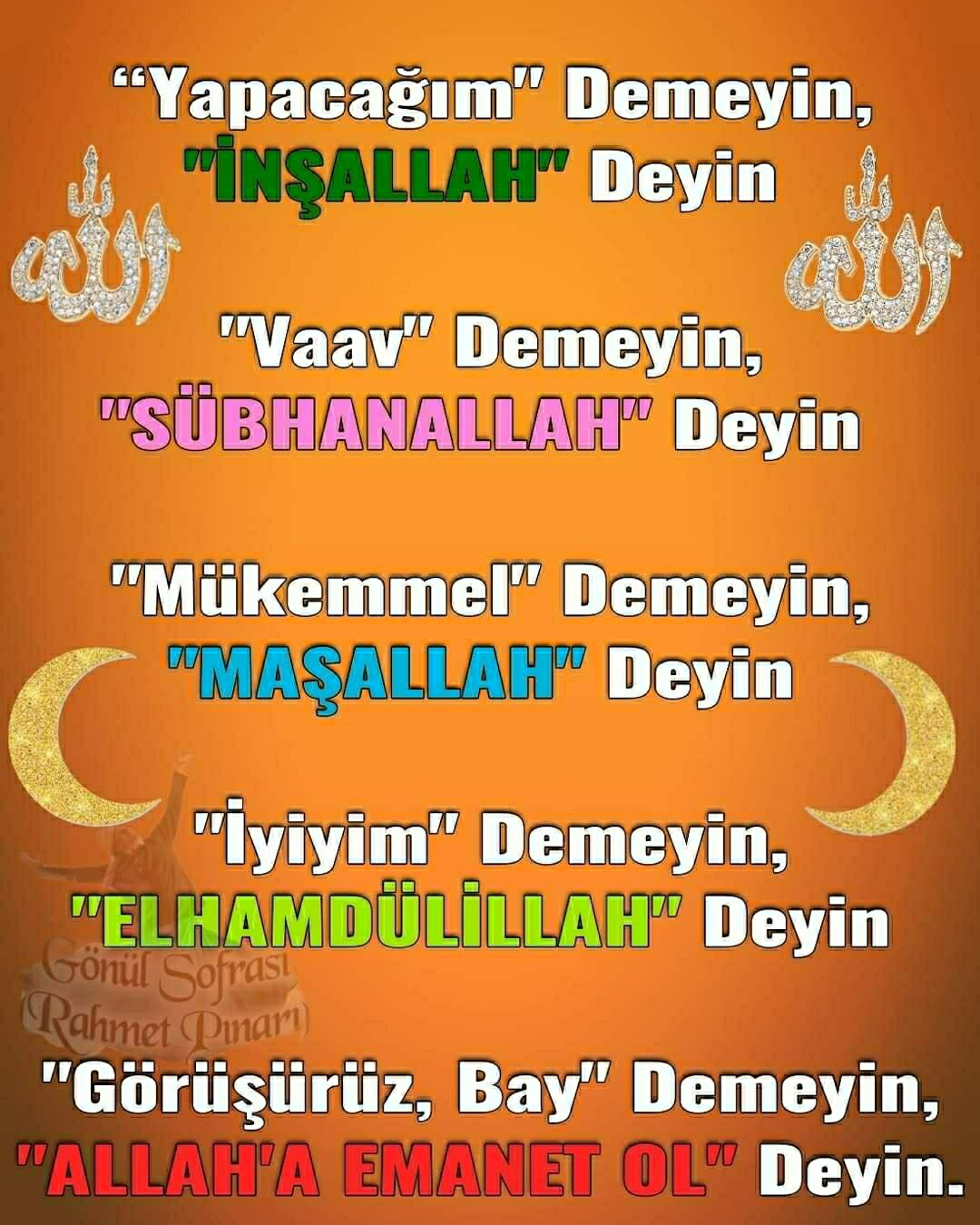 Melek