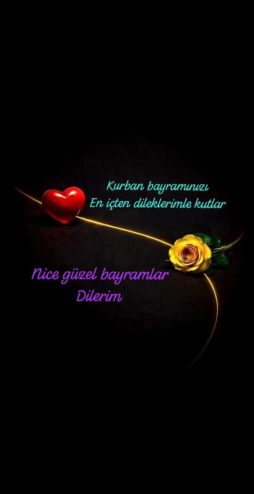 Poyraz