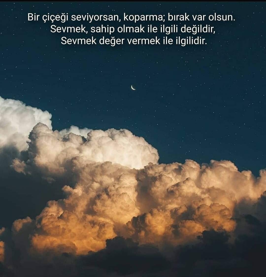 Ulvi