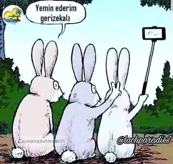 Beyhan
