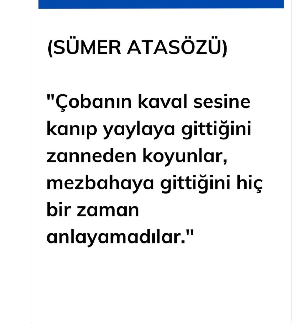 T C Yıldız