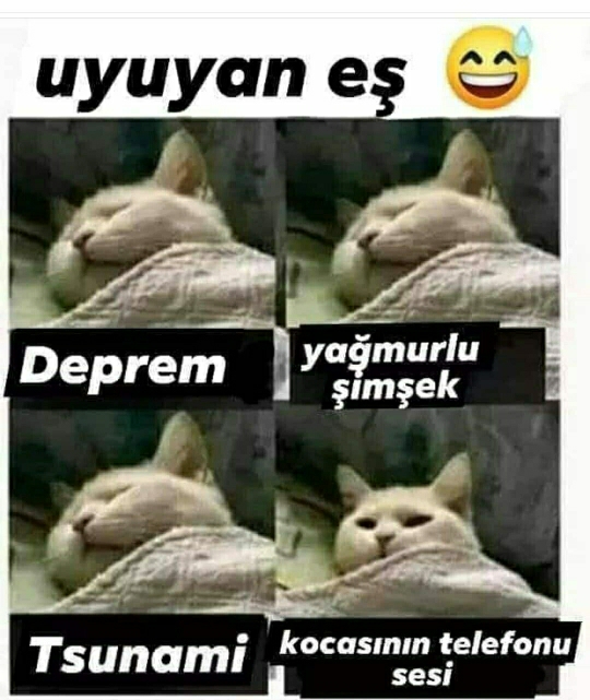 Melek
