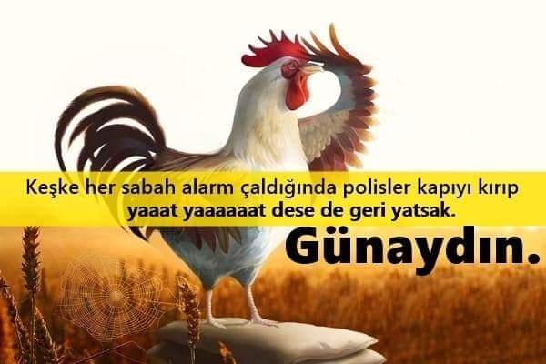 Serdar