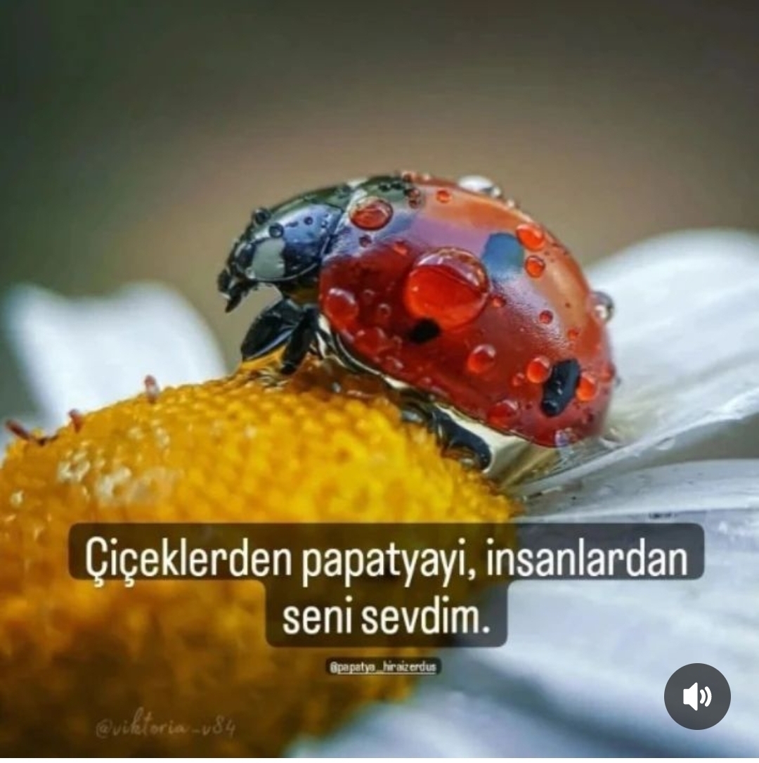 Uğur