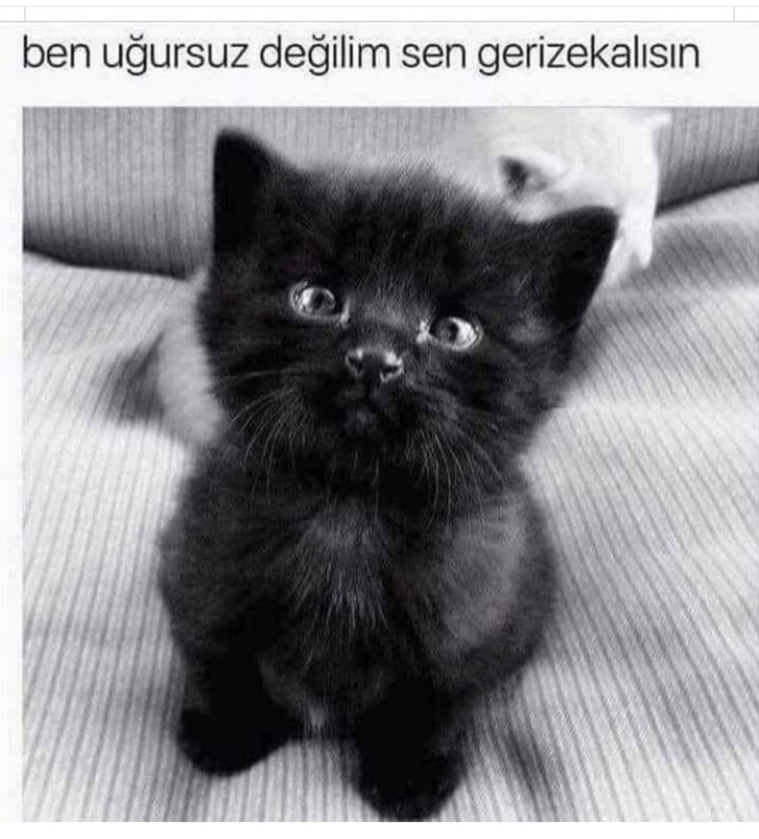 T C Yıldız