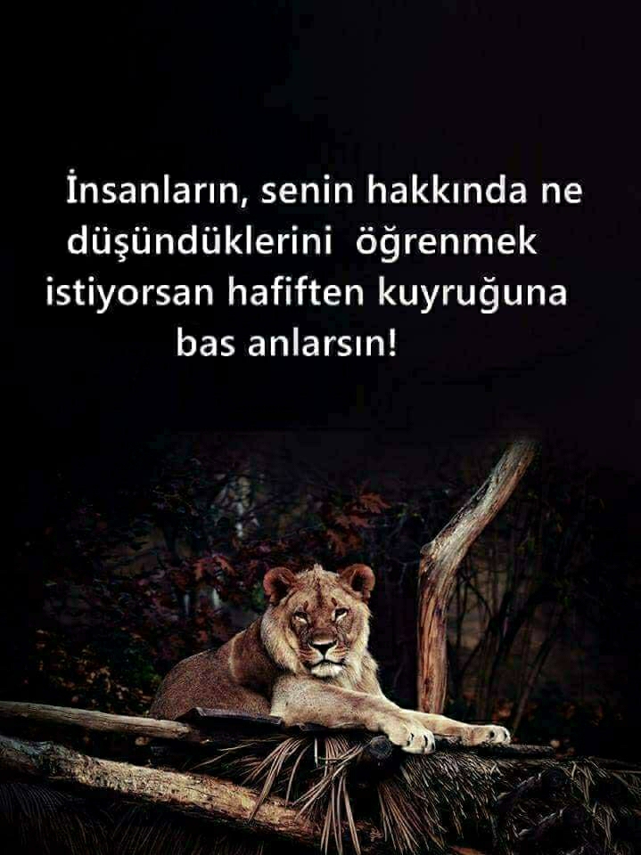 Melek