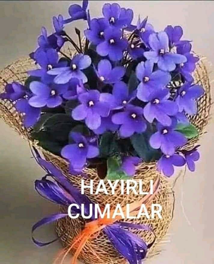 Süleyman