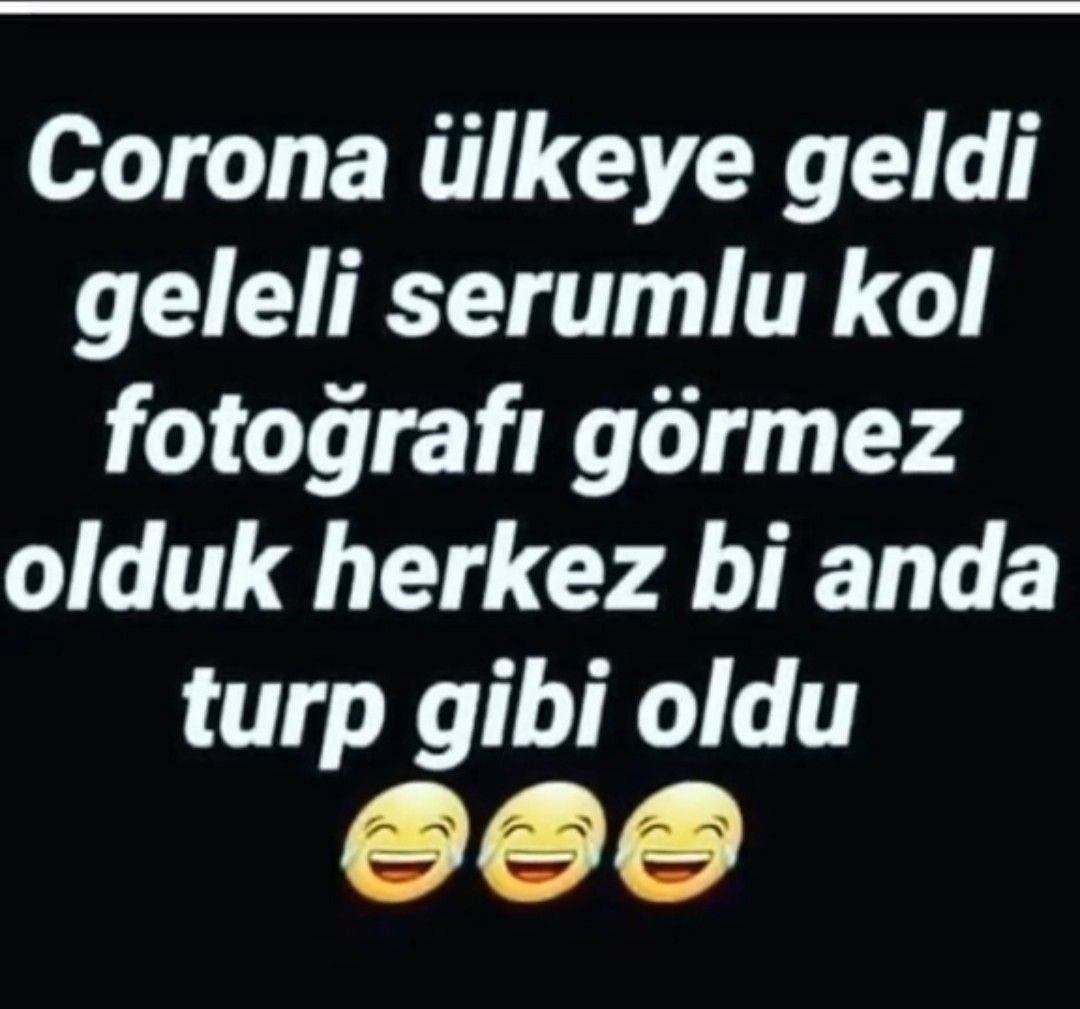 Aynur