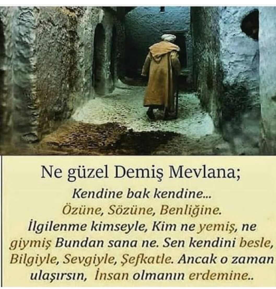 T C Yıldız