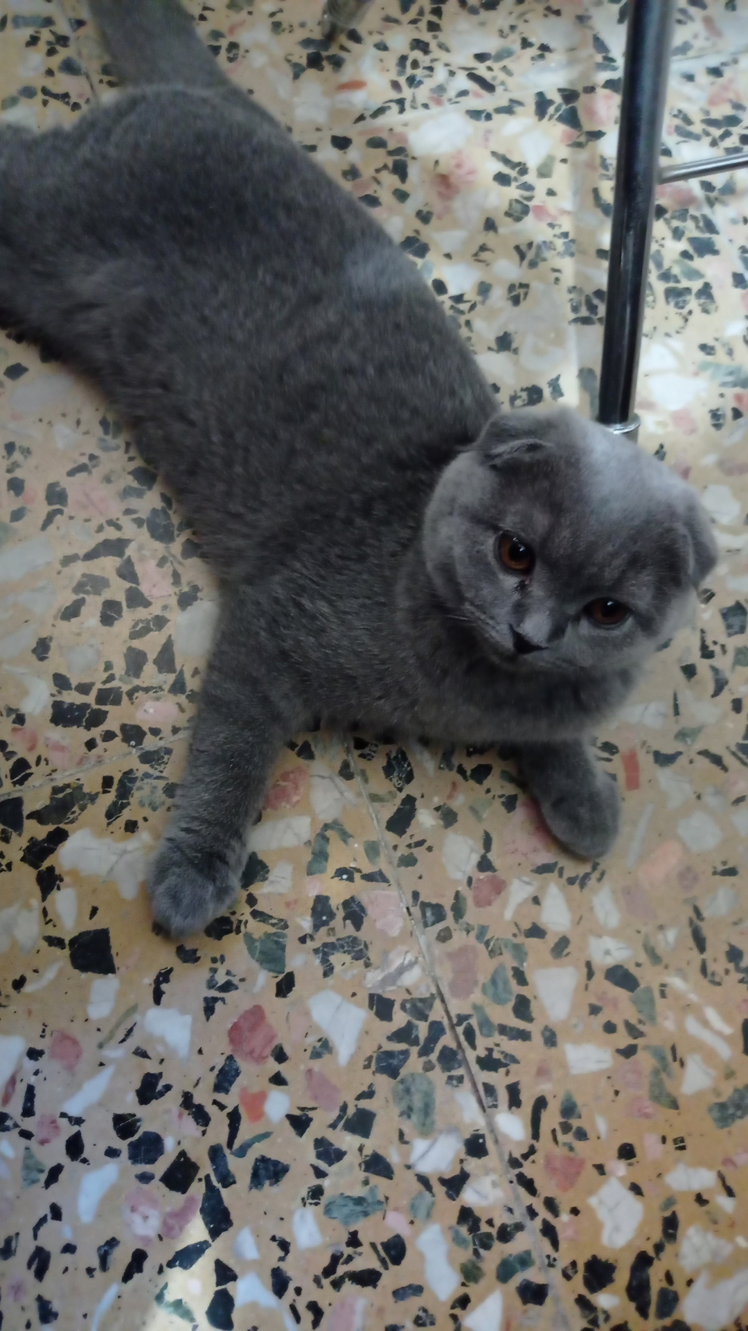 Ahmet