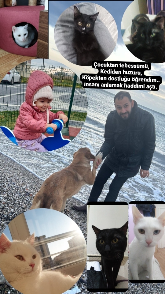 Kadir