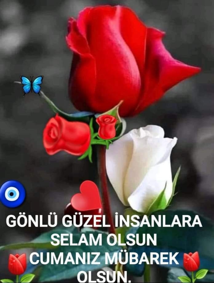 Serdar