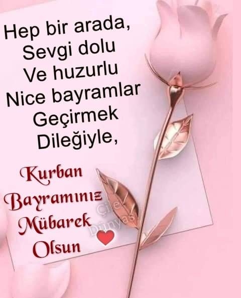 Dnz