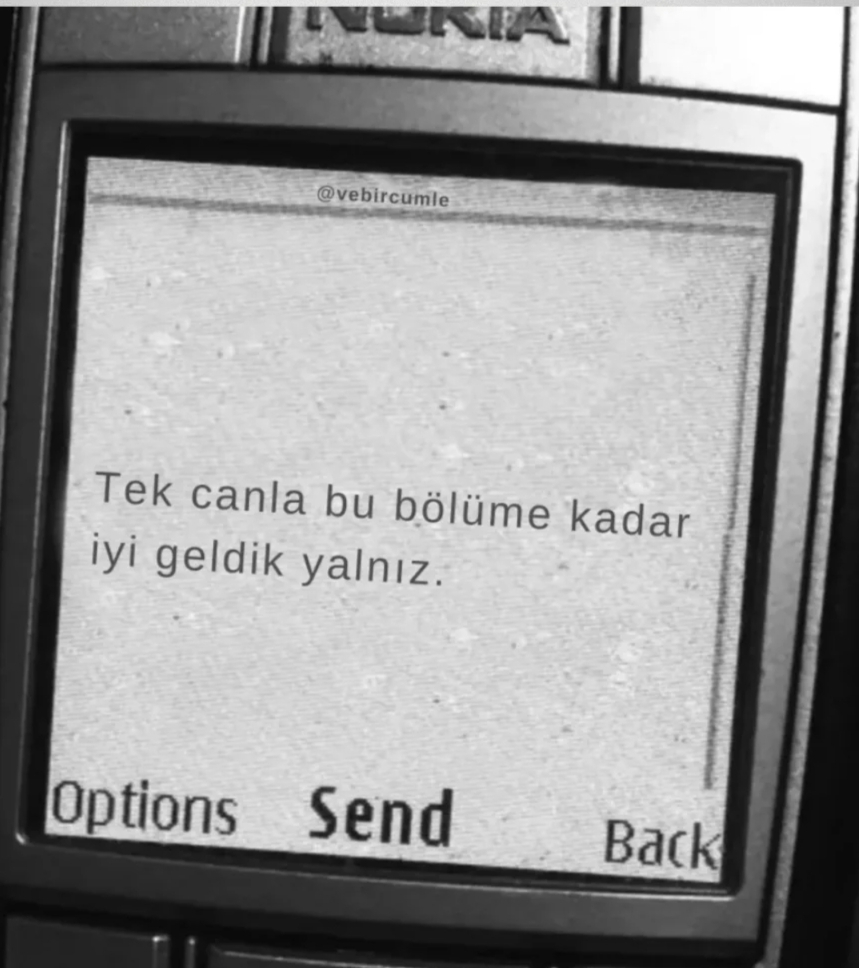 Şahinler