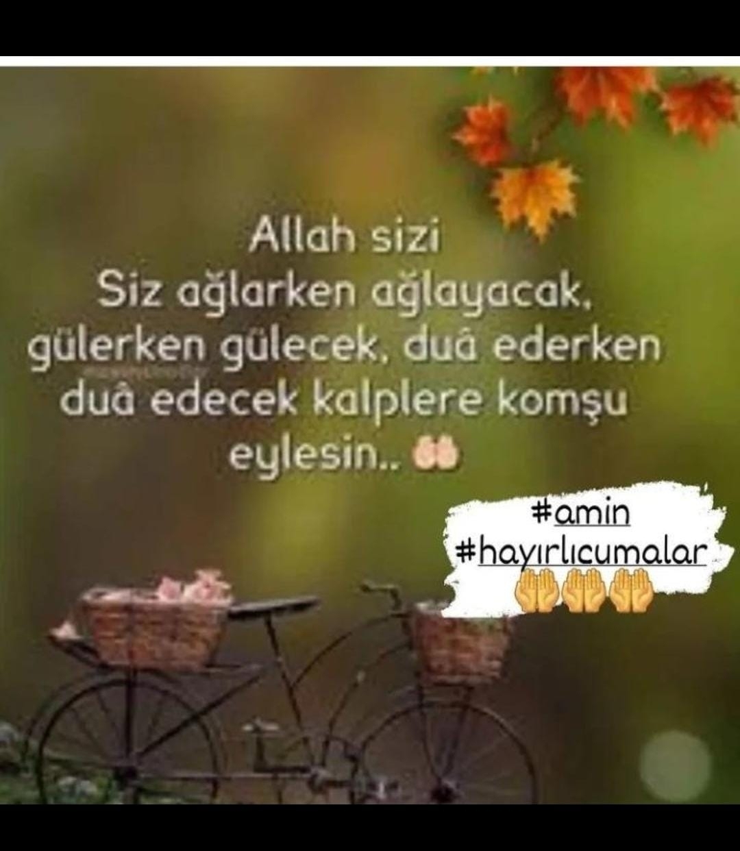 Nilay
