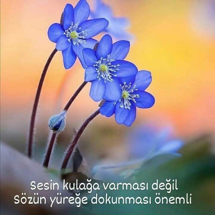Ramazan