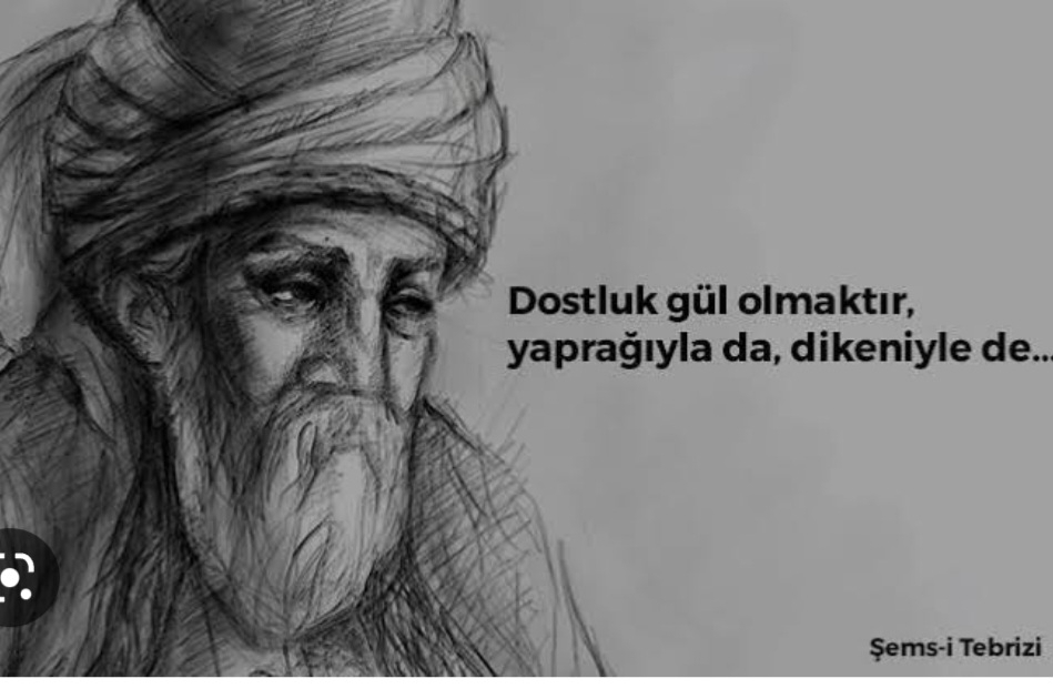 T C Yıldız