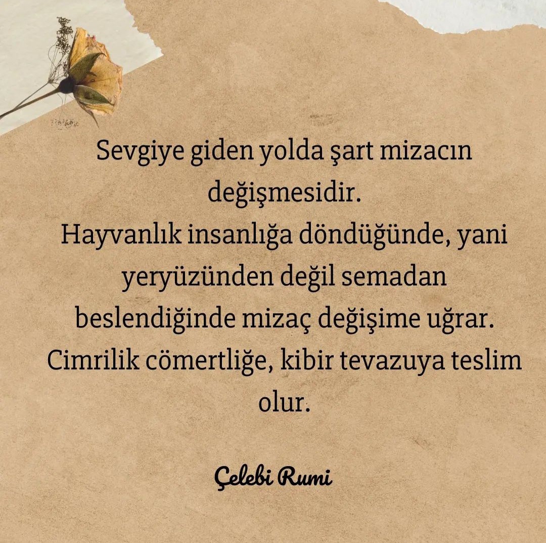 T C Yıldız