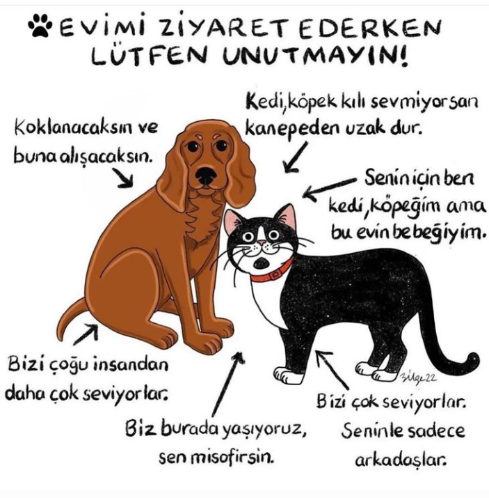 Tülay