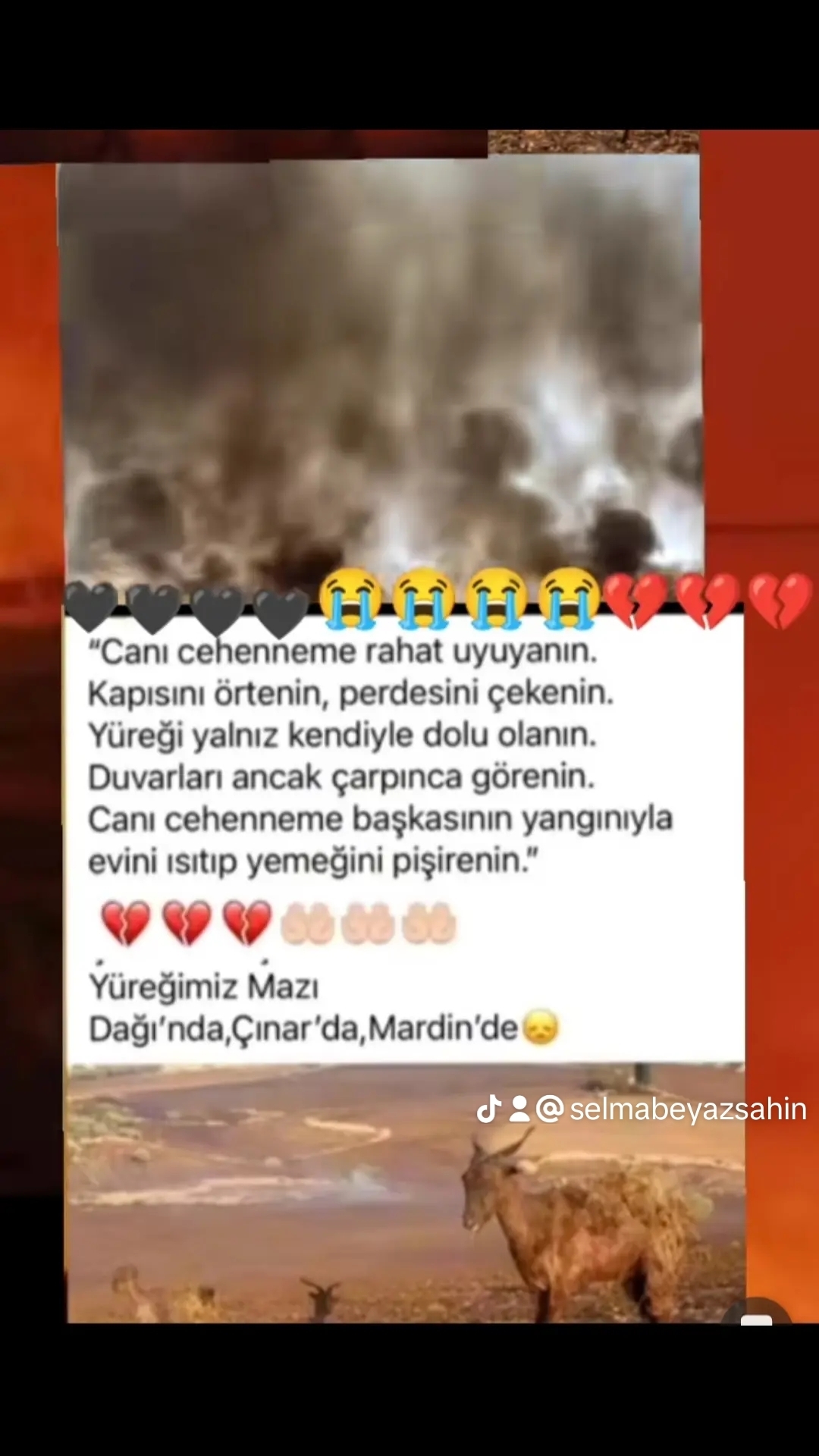 Selma