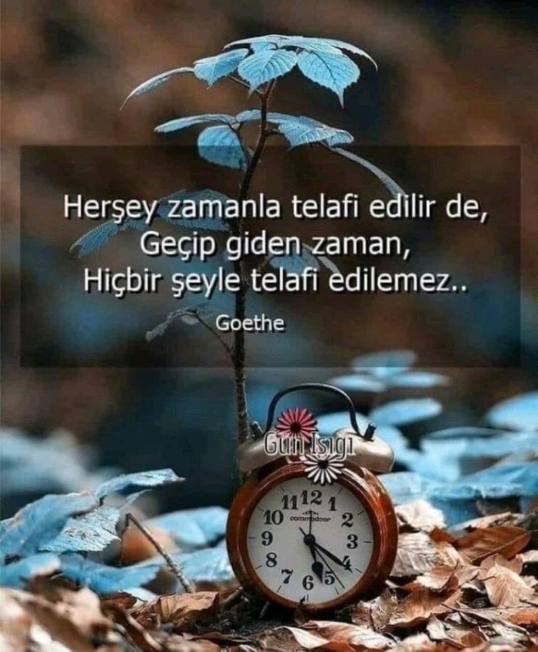 Gülhan