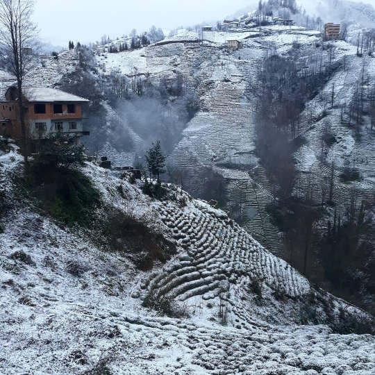 Şerif