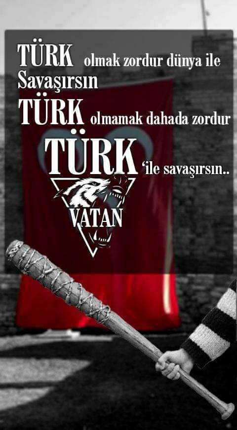 Aysun