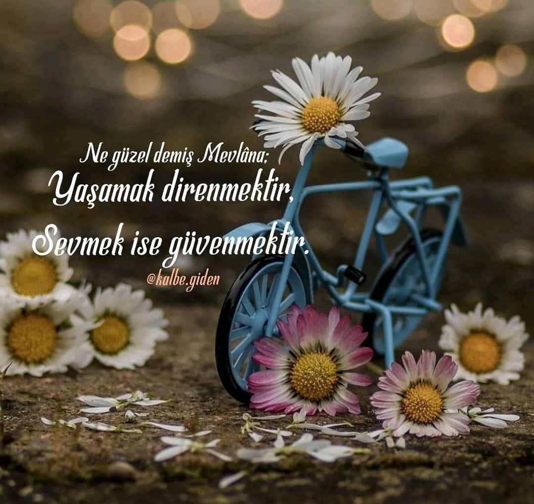 Seval