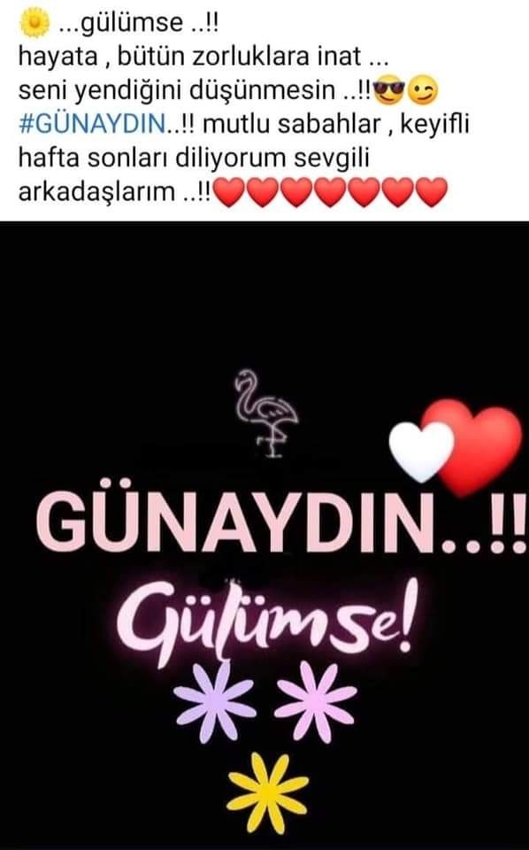 Melek