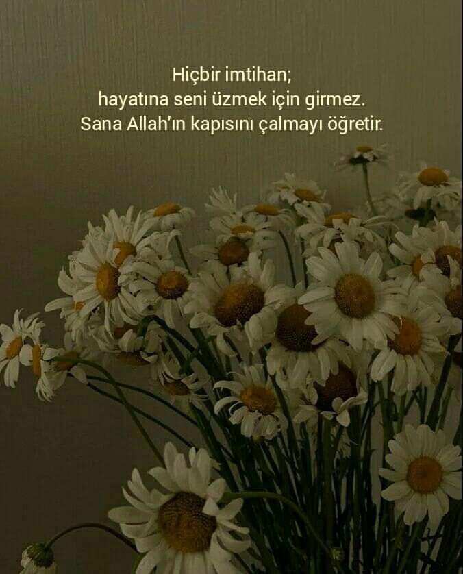Sevda