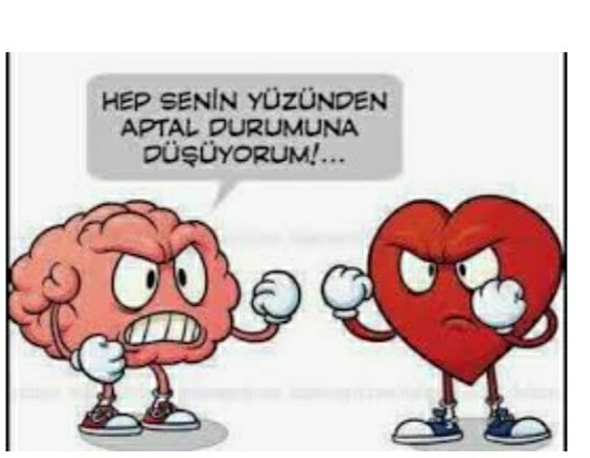 ŞEHRİZADE