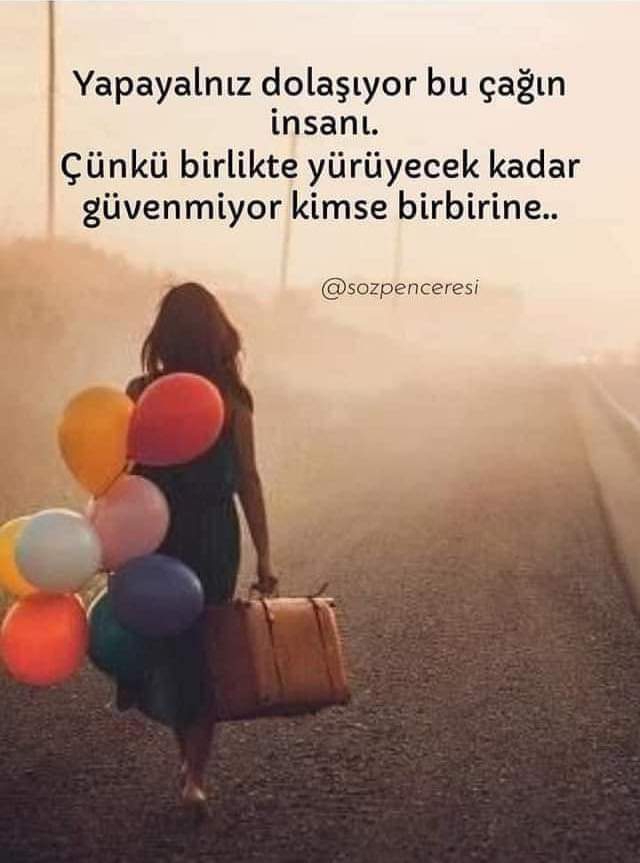 Gazel