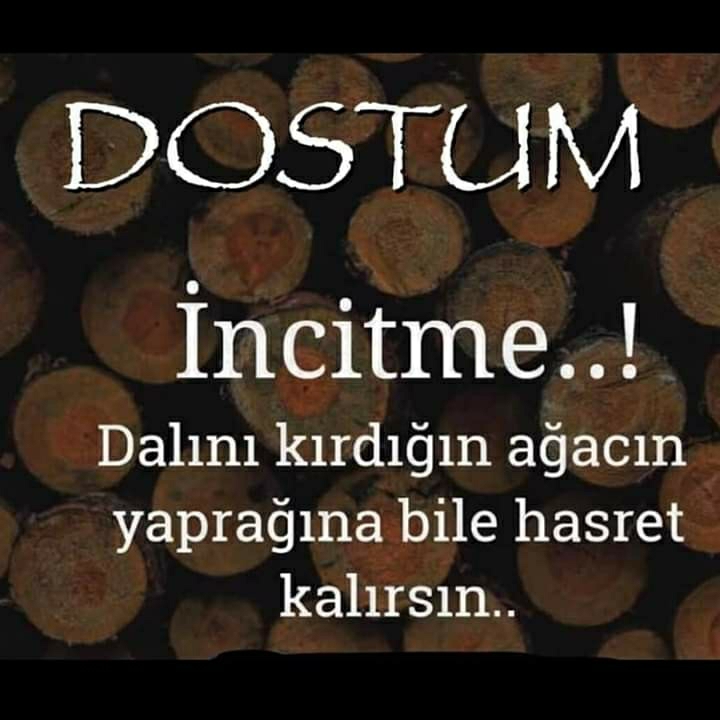Melek