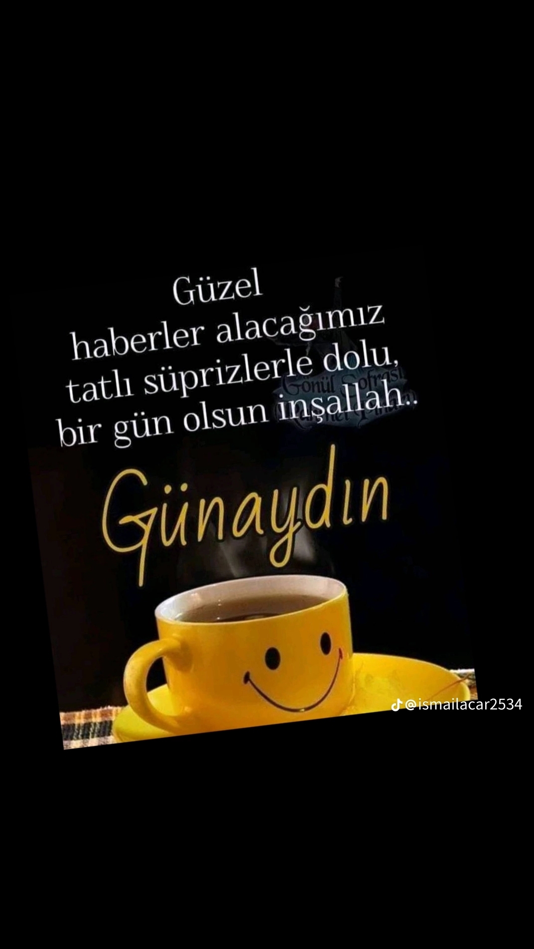 Aynur