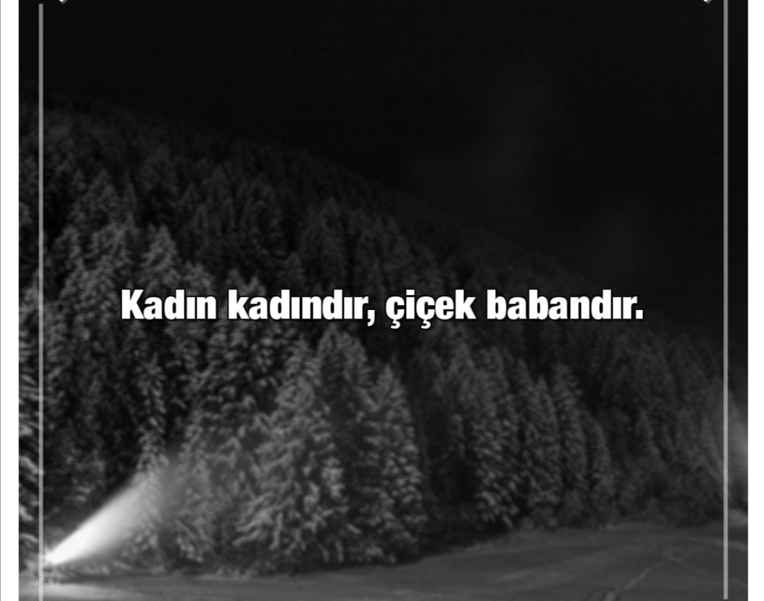 Ceyda