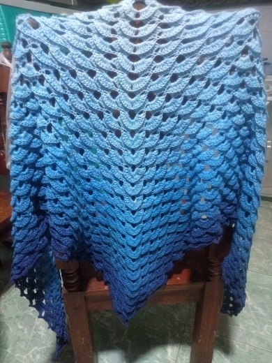 Zinovia