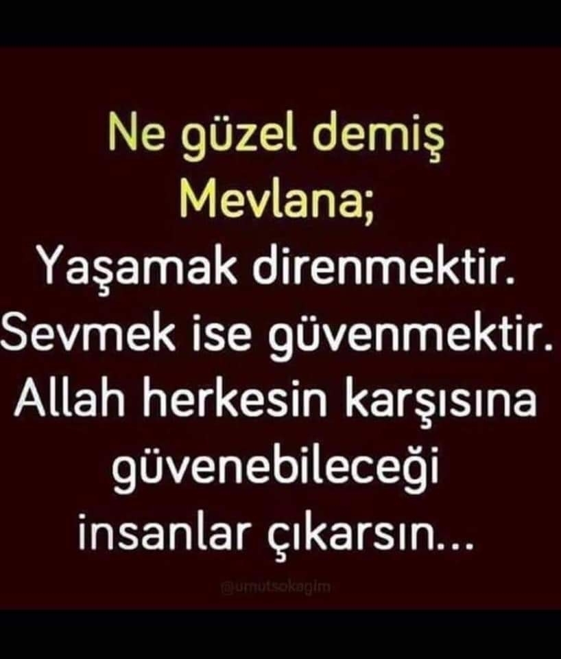 Kader