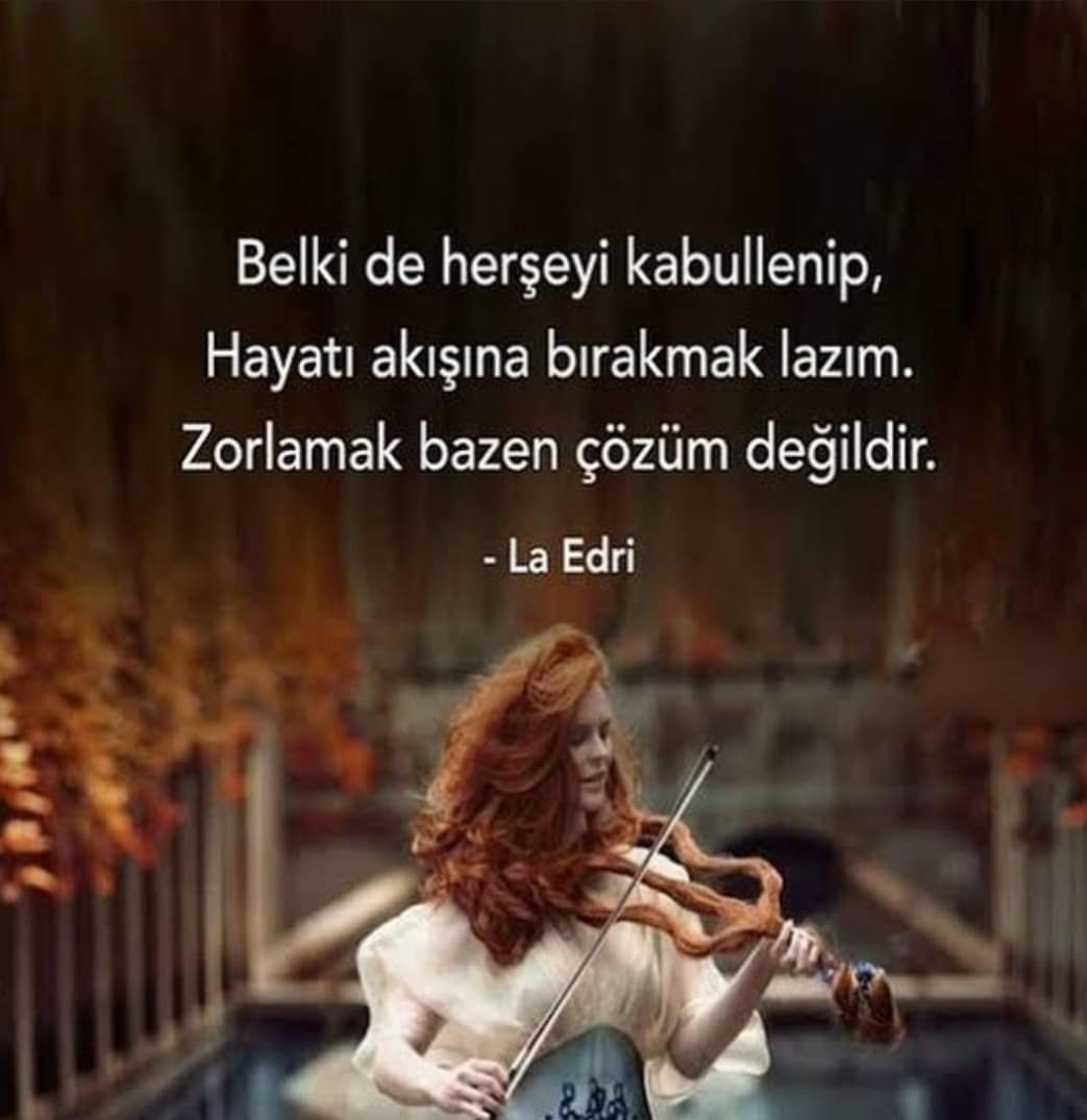 Ulvi