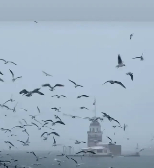 Özcan