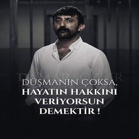 Serdar