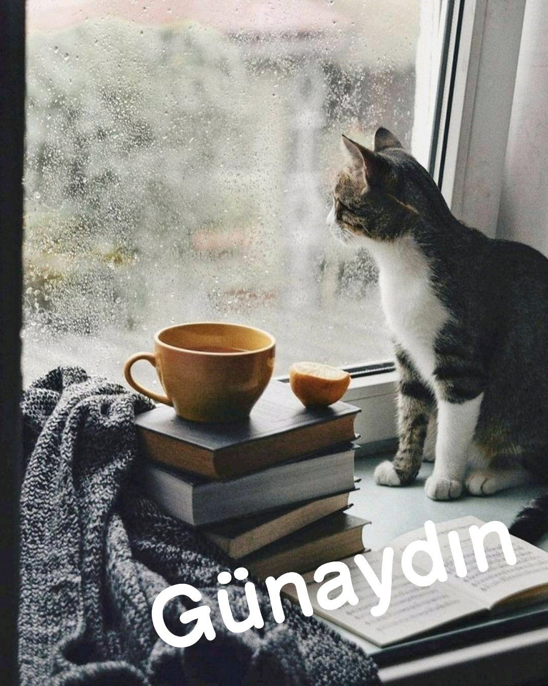 Yavuz