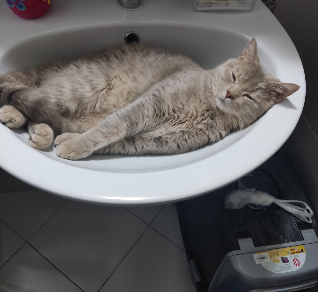 Tuna