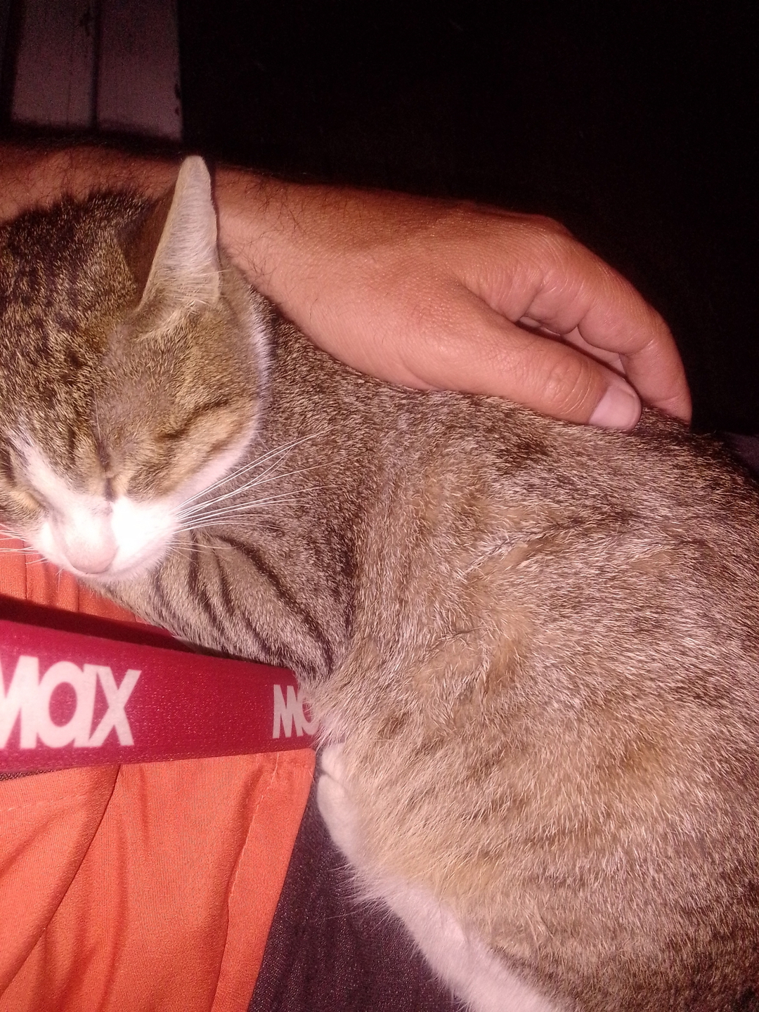 Metin