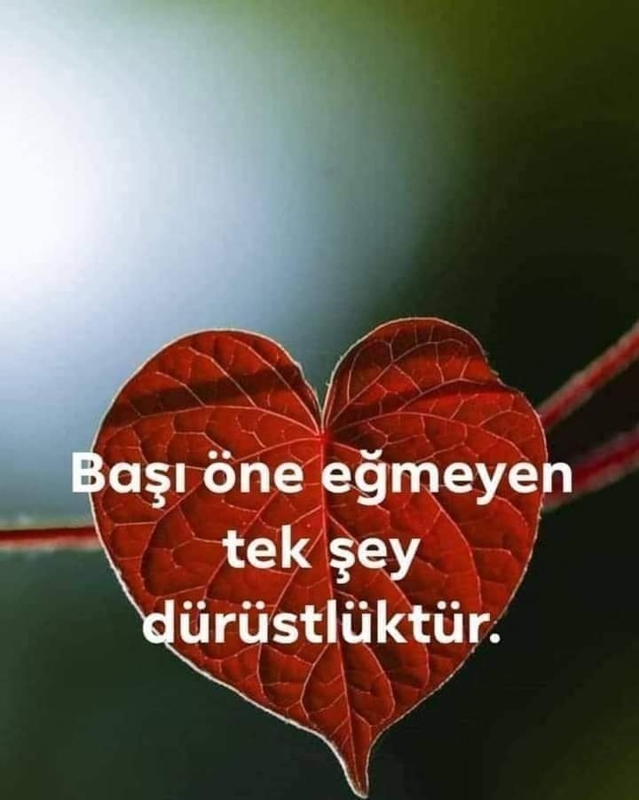 Ceyhan