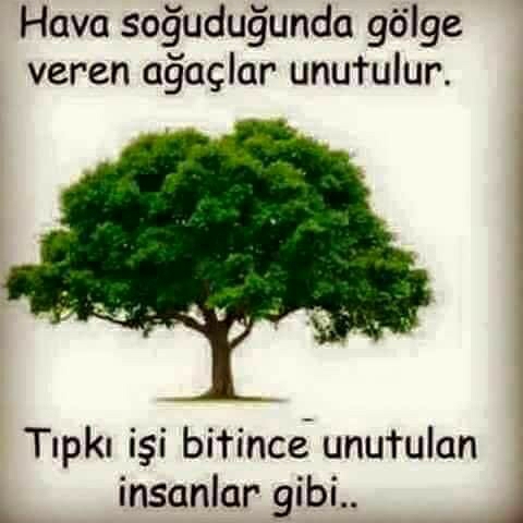 Mahmut